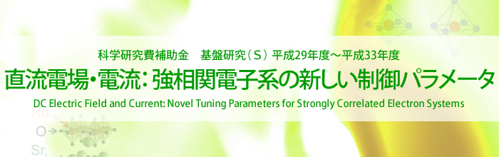 直流電場・電流:強相関電子系の新しい制御パラメータ