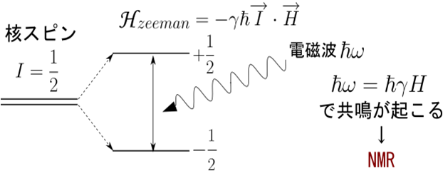 核磁気共鳴（NMR） -- 固体量子物性研究室HP