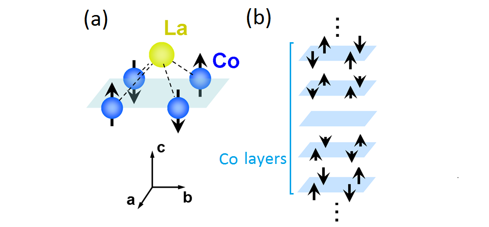 Crystal structure of LaCoGe