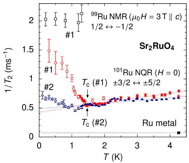 Sr2RuO4における101Ru核スピン―スピン緩和率1/T2の温度依存性