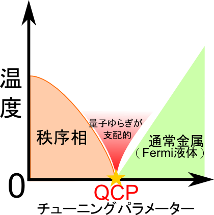 温度ーパラメター相図と量子臨界点。秩序相が消失する近傍に量子臨界点があり、それを超えると通常金属（フェルミ液体）となる。