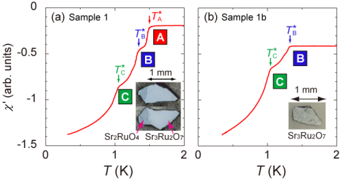 2008年6月のTopicsの図1