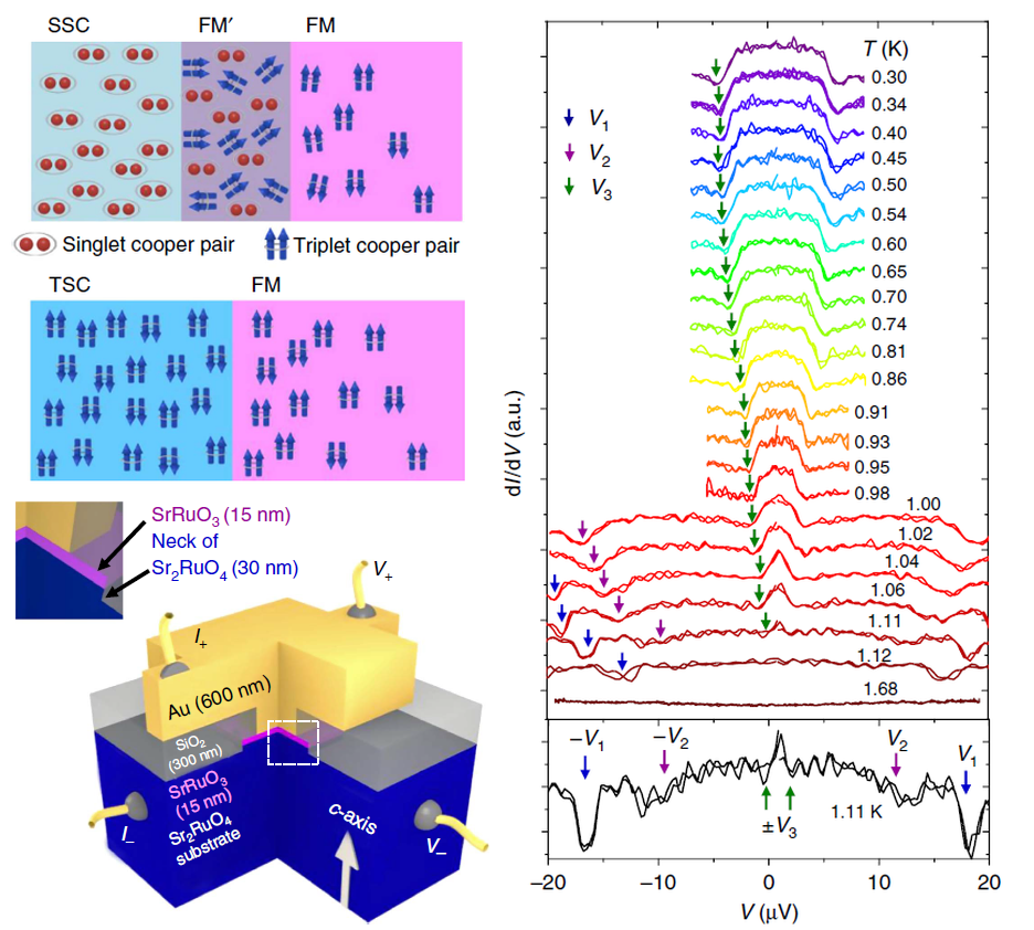 2016年10月のTopics Au/SrRuO3/Sr2RuO4デバイスとその測定結果の図