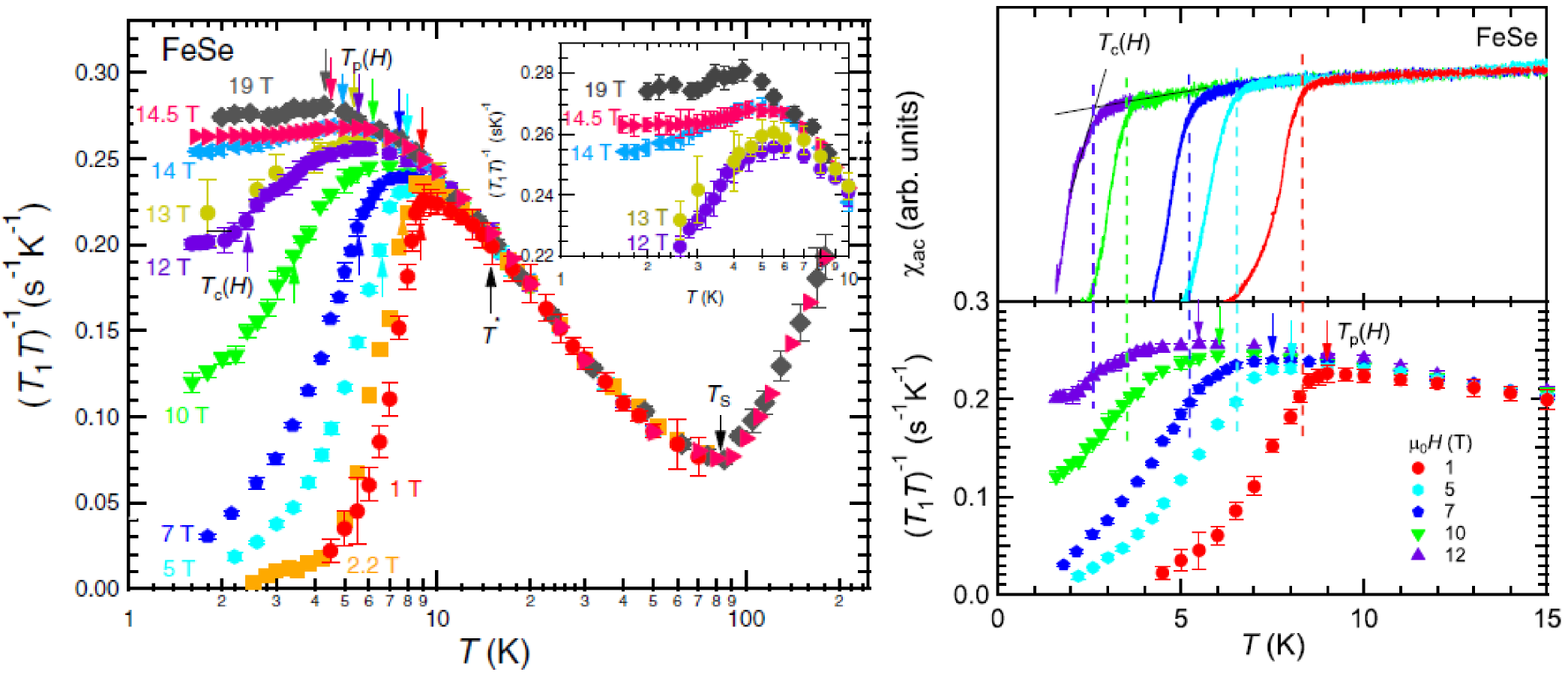 FeSeにおけるNMRの測定結果．1/T1Tとその拡大図，および交流帯磁率の温度依存性を磁場ごとに示している．