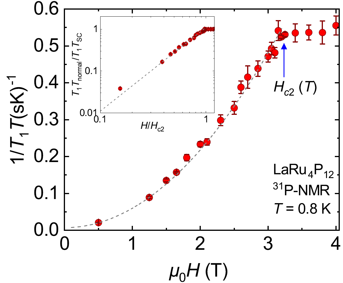 図:LaRu<sub>4</sub>P<sub>12</sub>の1/<i>T</i><sub>1</sub>の磁場依存性。