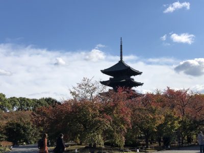 Autumn recreation 2021 @ Toji Temple and Kyoto Aquarium