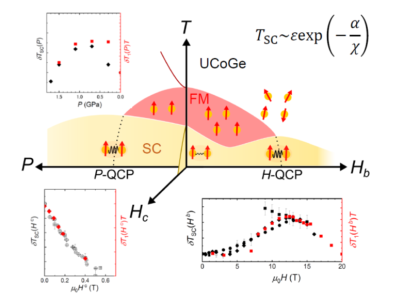 Pairing interaction in superconducting UCoGe tunable by magnetic field