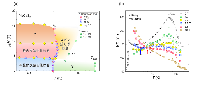 YbCuS2、磁場中常磁性もヘン！？