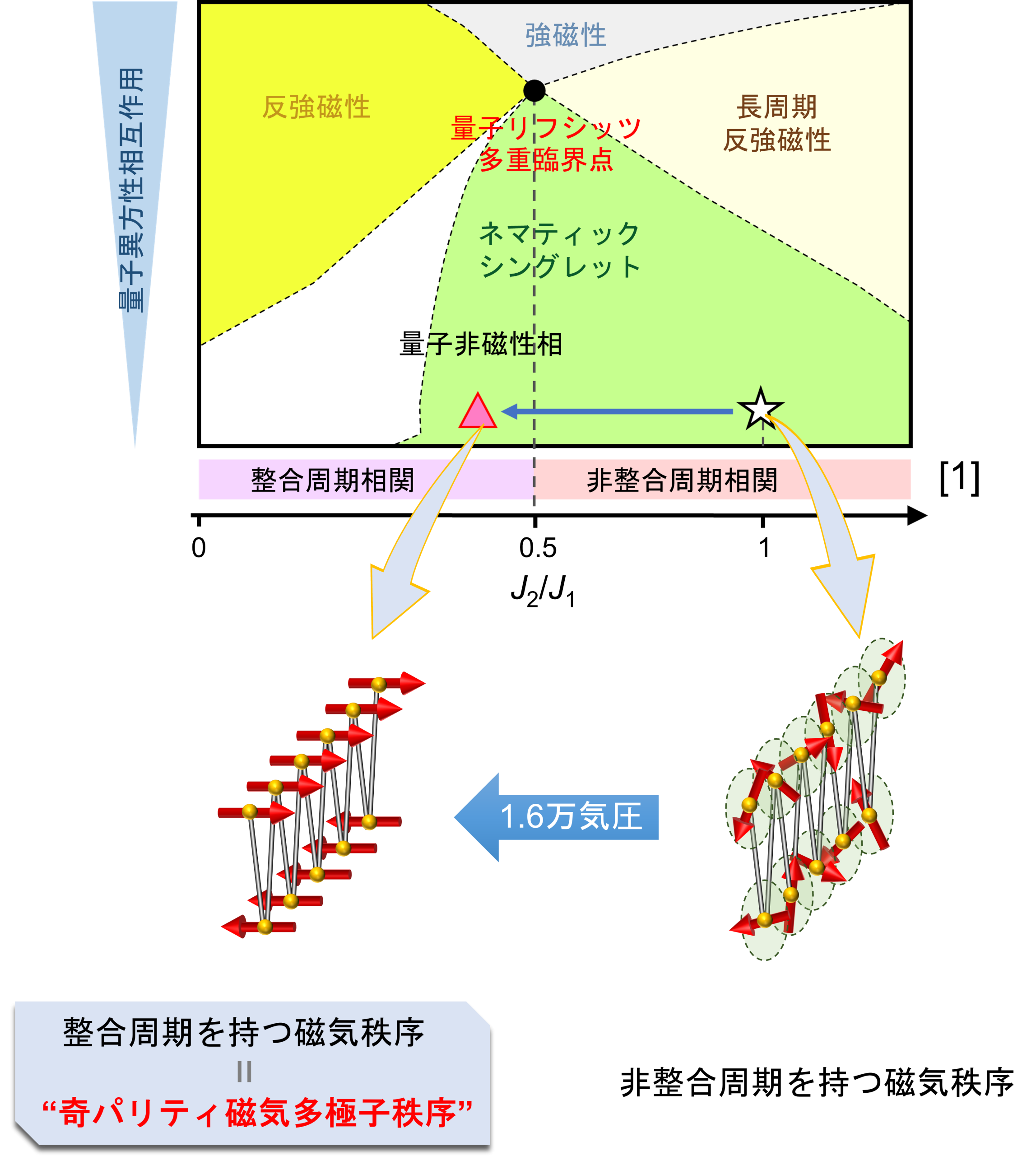 異方的量子スピンジグザグ鎖モデルの予測を実験的に実証 ―新たな物質