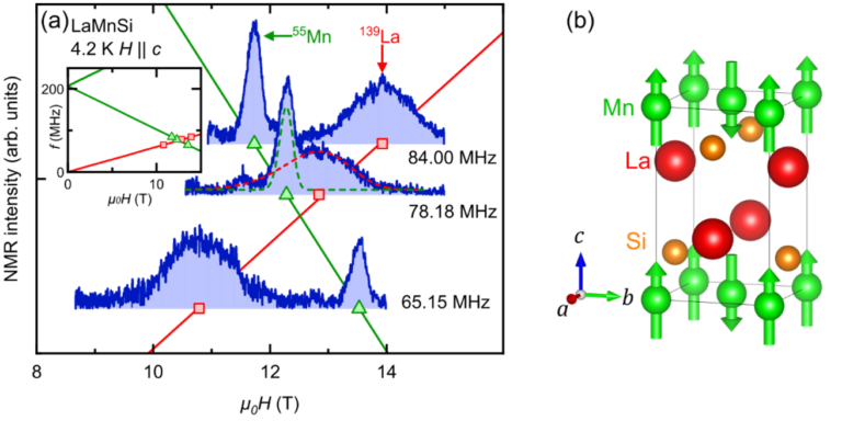 Microscopic determination of the magnetic structure in the Mn antiferromagnet LaMnSi